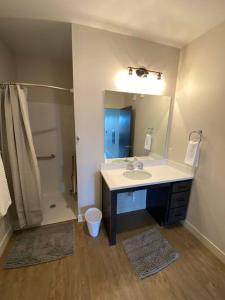 een badkamer met een wastafel, een douche en een spiegel bij Luxury River-Front Handicap Accessible Studio Apt in Davenport