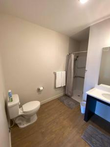 een badkamer met een toilet en een wastafel bij Luxury River-Front Handicap Accessible Studio Apt in Davenport