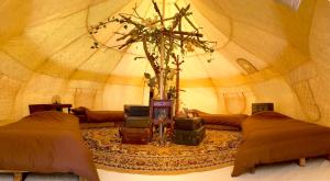 广岛The Island（ジ・アイランド）的相册照片