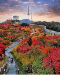 two people walking down a road in a park with flowers at Apartment J garden Myeongdong Station in Seoul