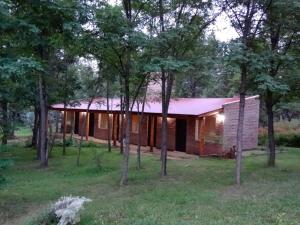 a brick house in the middle of a forest at Santa Mate in Nono