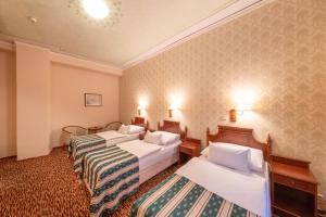 Fotografie z fotogalerie ubytování Hotel Meteor Plaza Prague v Praze