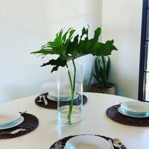 a table with a vase with a plant in it at The Bungalow - Wave Rock Short Stay in Hyden