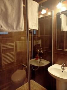 a bathroom with a shower and a toilet and a sink at Avalon Rooms in Oradea