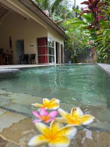 - une piscine avec des fleurs dans l'eau dans l'établissement HH Villa, à Rowokele
