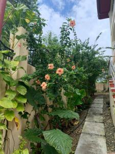 Zahrada ubytování Soul Travellers Dagatan Guesthouse