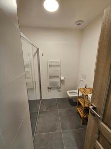 Koupelna v ubytování Apartmány Pstruží AP19