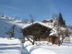 una cabaña de madera en la nieve en una montaña en Ferienhaus Lindaubachgütl, en Fieberbrunn