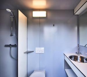 a bathroom with a shower and a sink and a toilet at Hoogte Huisje Tirol in Swalmen