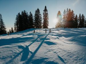 Obiekt Chalet Knappenhütte zimą