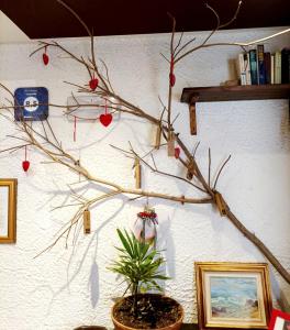 una rama de árbol con adornos en una pared en Casa Lady en Garda