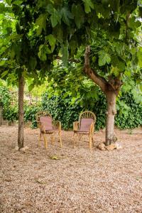 three chairs sitting in front of a tree at Casa Mas Montañas - Gris in Godelleta