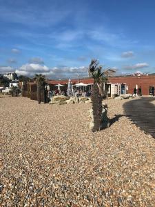 a rocky beach with palm trees and a building at Entire 2 bed , 2 bath beachfront flat in Folkestone
