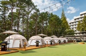 eine Reihe weißer Zelte auf einem Feld mit Bäumen in der Unterkunft Kensington Resort Gyeongju in Gyeongju
