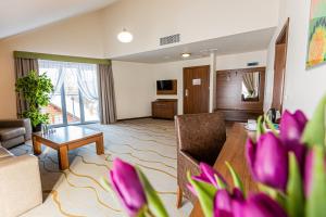una sala de estar con un sofá y una mesa en Hotel Olivia Medical SPA, en Skomielna Czarna