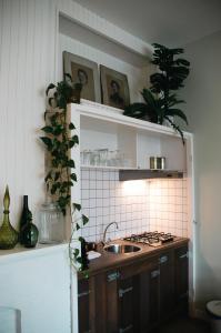 una cocina con fregadero y una barra con plantas en Appartement 'de Stadstuin', en Harderwijk