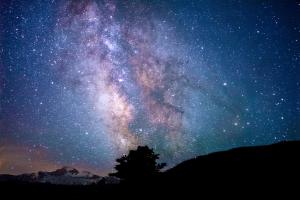Astrostays at Pangong Lake في Spangmik: ليلة من النجوم مع شجرة وحليب