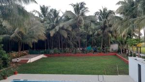 Ruturaj Inn Alibag外面的花园