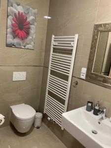 Apartmany Rezidence Klostermann & Javor tesisinde bir banyo