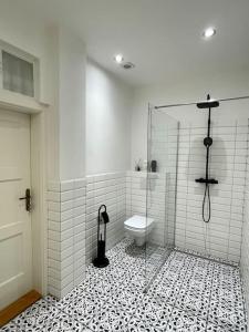 a bathroom with a glass shower and a toilet at historical Zaffir house - market square in Levoča