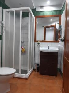 瓜達盧佩的住宿－Casa Rural Fray Eloy，带淋浴、盥洗盆和卫生间的浴室