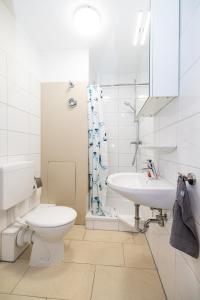 a white bathroom with a toilet and a sink at Nettes Apartment mit Terrasse in Würzburg