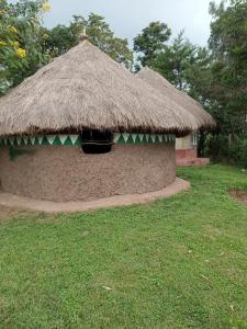 Cabaña pequeña con techo de hierba y ventana en HILLVIEW ECO-TOURISM RESORT, en Bungoma