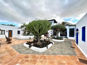 Fotografia z galérie ubytovania Suite only adults with Breakfast included, FreeWifi, shared pool, ocean view in Yaiza v destinácii Yaiza