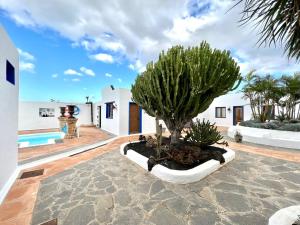 Fotografia z galérie ubytovania Suite only adults with Breakfast included, FreeWifi, shared pool, ocean view in Yaiza v destinácii Yaiza