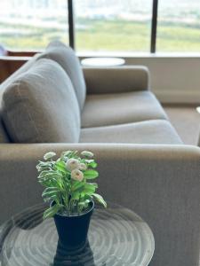 a plant sitting on a coffee table in front of a couch at Best location apartment in Olympic park in Sydney