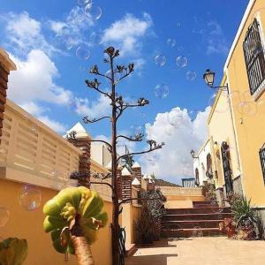 un árbol con burbujas en el aire al lado de un edificio en Cortijo los Garridos - 7 huéspedes, en Almería