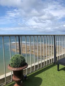 - un balcon avec une plante offrant une vue sur la plage dans l'établissement L'appartement entre ciel et mer, à La Turballe