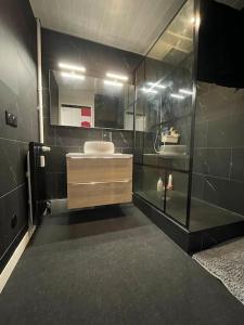 ein Bad mit einem Waschbecken und einem Spiegel in der Unterkunft Appartement EPINAL calme in Épinal