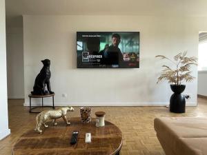 TV a/nebo společenská místnost v ubytování Appartement EPINAL calme