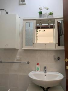 baño con lavabo y botiquín en APPARTAMENTO CAMPO IMPERATORE, en Castel del Monte