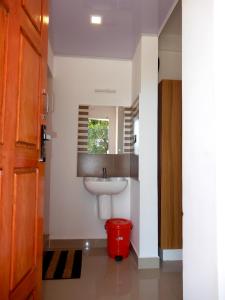 een badkamer met een wastafel en een rode vuilnisbak bij Drizzle Valley Cottage in Munnar