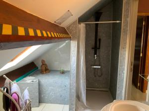 ein Bad mit einem Hochbett und einer Dusche in der Unterkunft Le Castillon in Trivières + 37 Fotos