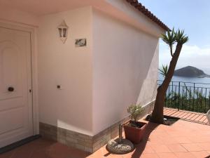 Casa con balcón con árbol y puerta en L' Ulivo Villa Nunzia, en Isquia