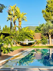 Sant Francesc de s'EstanyにあるVilla con piscina giganteのヤシの木とハンモック付きのスイミングプール