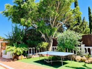 una mesa de ping pong en un patio con un árbol en Villa con piscina gigante, en Sant Francesc de s'Estany