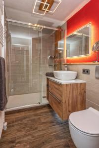 a bathroom with a toilet and a sink and a shower at Alpenliebe-mit Bergblick in Oberstaufen