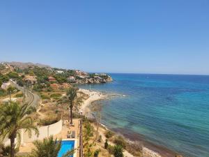 a view of a beach with palm trees and the ocean at Apartamento Alkabir Playa in El Campello