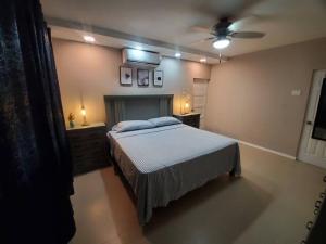 a bedroom with a bed and a ceiling fan at Suite at the Courtleigh Towers in Kingston