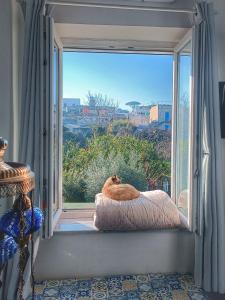 Gallery image of La luna nel pozzo in Procida