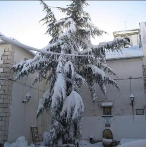 un arbre recouvert de neige devant un bâtiment dans l'établissement Habitacion de la marquesa, à Alcoleja