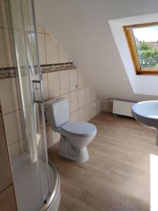 a bathroom with a toilet and a sink at MiłoRyn in Ryn +45 photos
