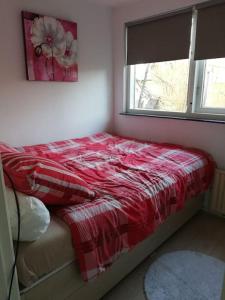 una camera da letto con un letto con una coperta rossa e una finestra di Cottage Egmond-Binnen met besloten tuin a Egmond-Binnen