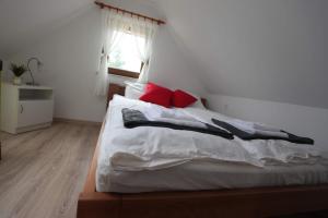 Un dormitorio con una cama con almohadas rojas y una ventana en Panorámás Vendégház, en Vértestolna