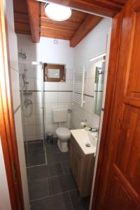 y baño con aseo, lavabo y ducha. en Panorámás Vendégház, en Vértestolna