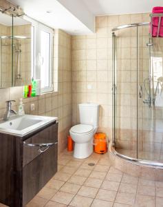 uma casa de banho com um WC, um chuveiro e um lavatório. em Loft em Atenas